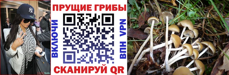 наркошоп  Межгорье  Галлюциногенные грибы Magic Shrooms 