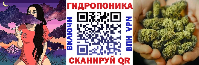 купить наркотики цена  Межгорье  Бошки Шишки MAZAR 